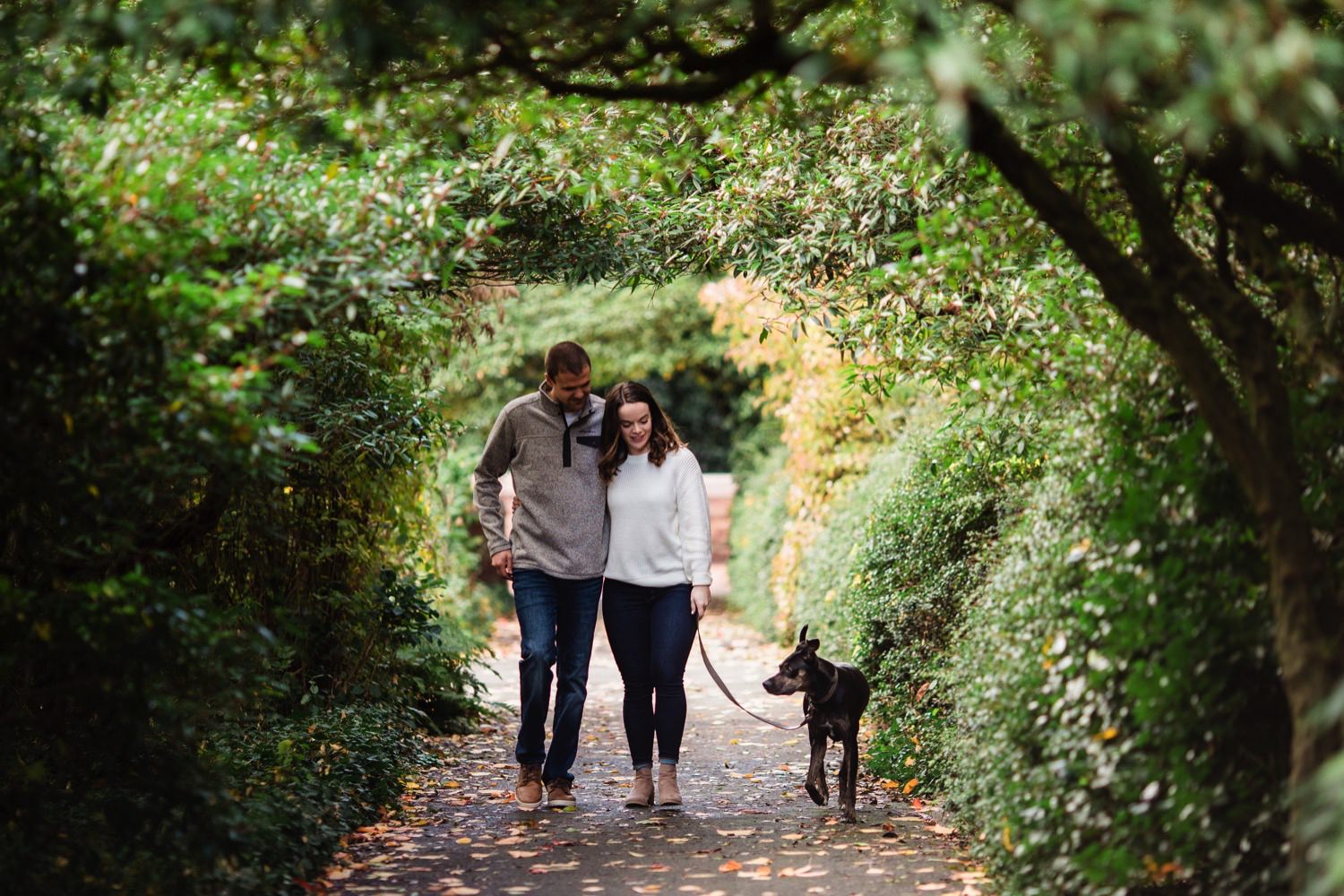 a couple walking their dog at their engagement session at University of Washington in Seattle
