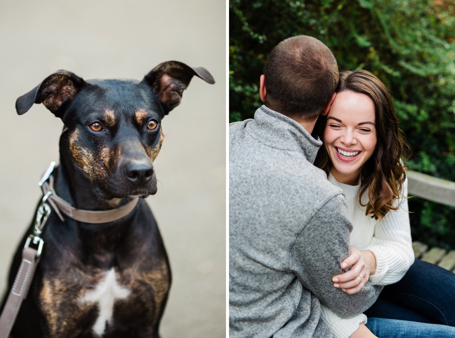 a couple and their dog at their engagement session at University of Washington in Seattle