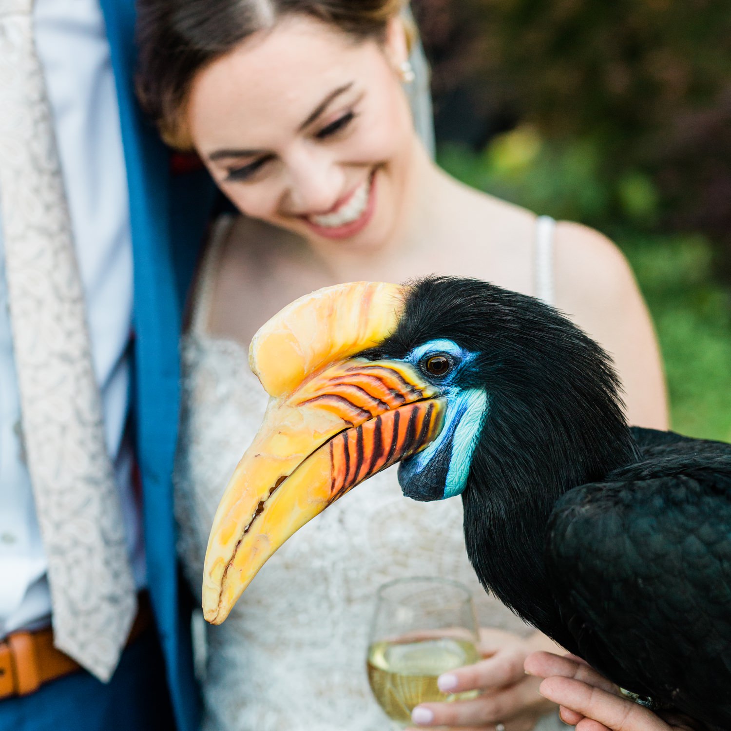 Bride and groom with a Hornbill bird at their Woodland Park Zoo wedding in Seattle