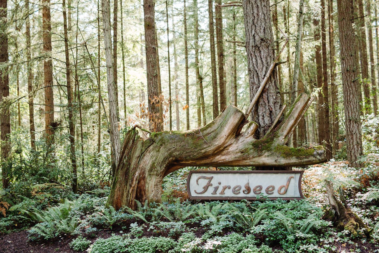 fireseed catering on whidbey island in washington