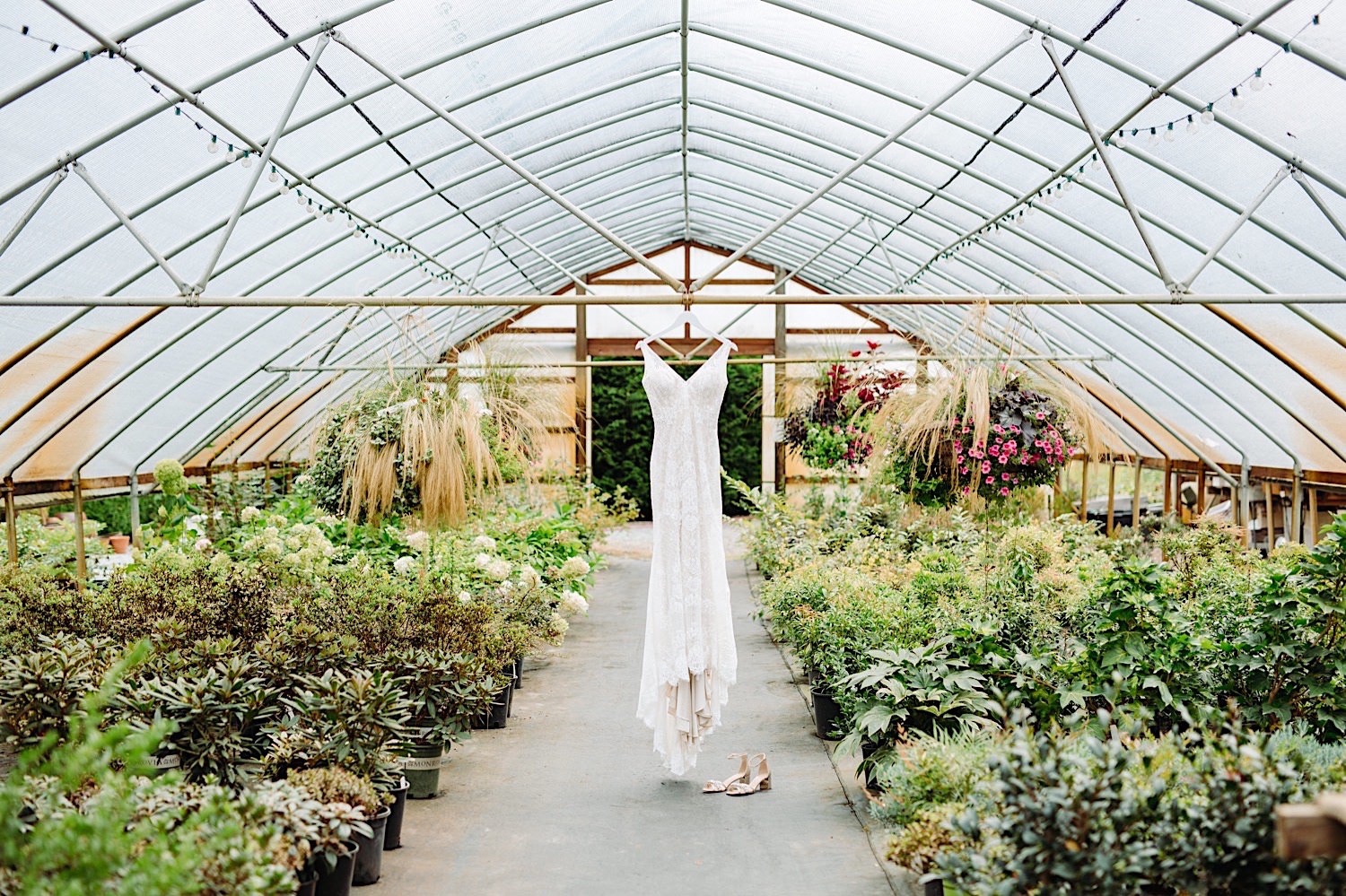wedding dress hanging in a greenhouse at Pine Creek Farms and Nursery.