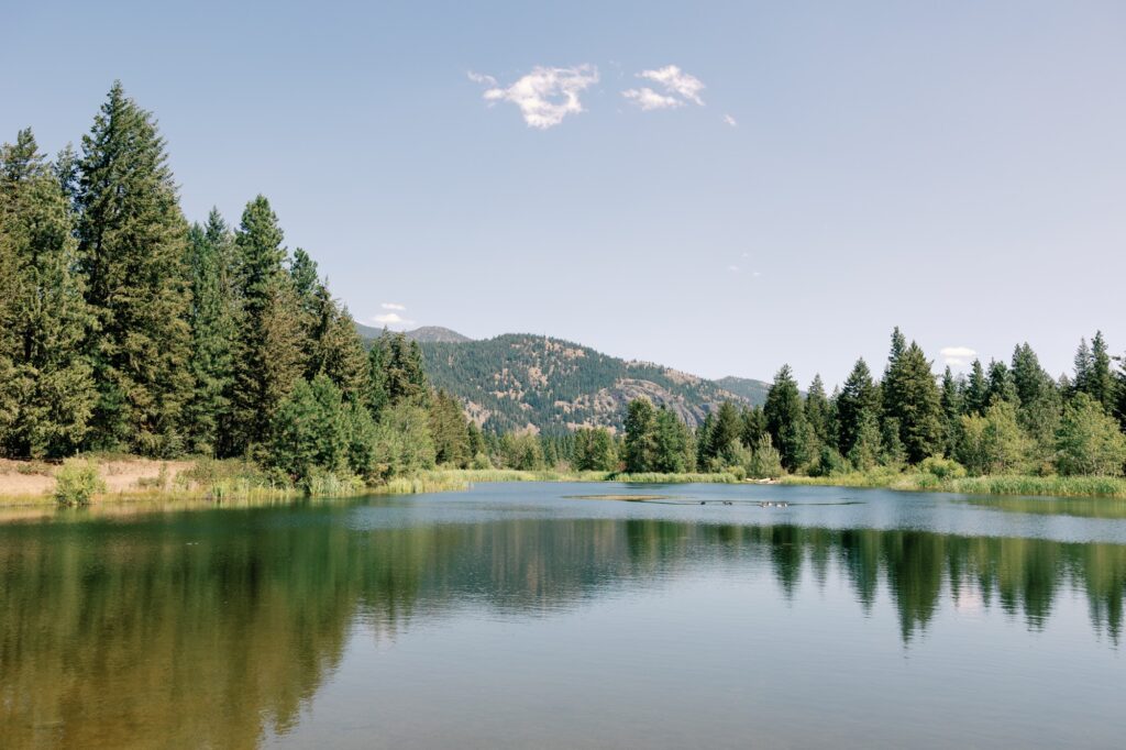 Scenic view of a serene lake surrounded by tall pine trees with mountains in the background under a clear blue sky.