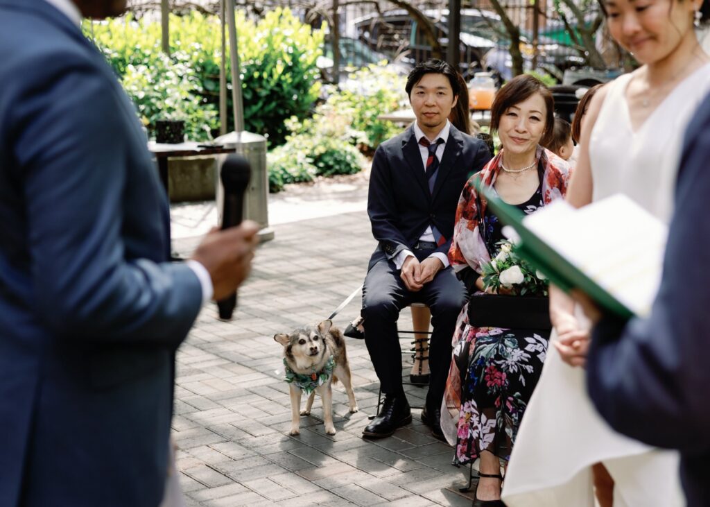 Guests, including a dog, attentively listening during the wedding ceremony.
