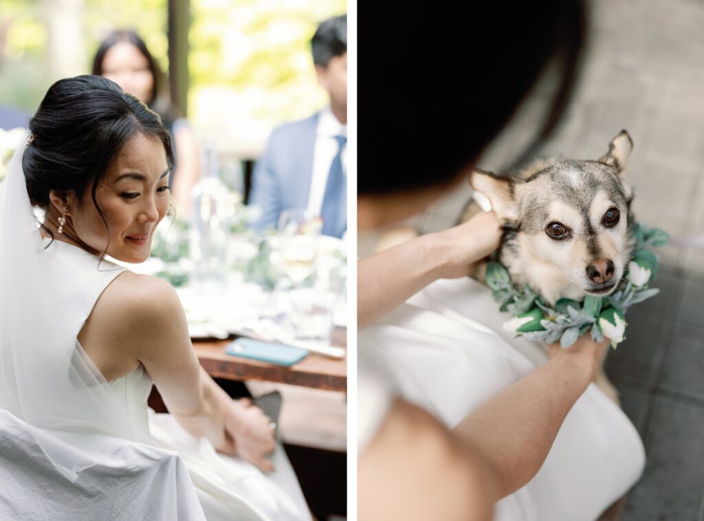 Bride smiling while holding her dog, who is adorned with a floral collar, during the wedding reception.