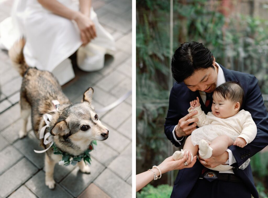 Dog with a floral collar at the wedding ceremony and groom holding a baby.
