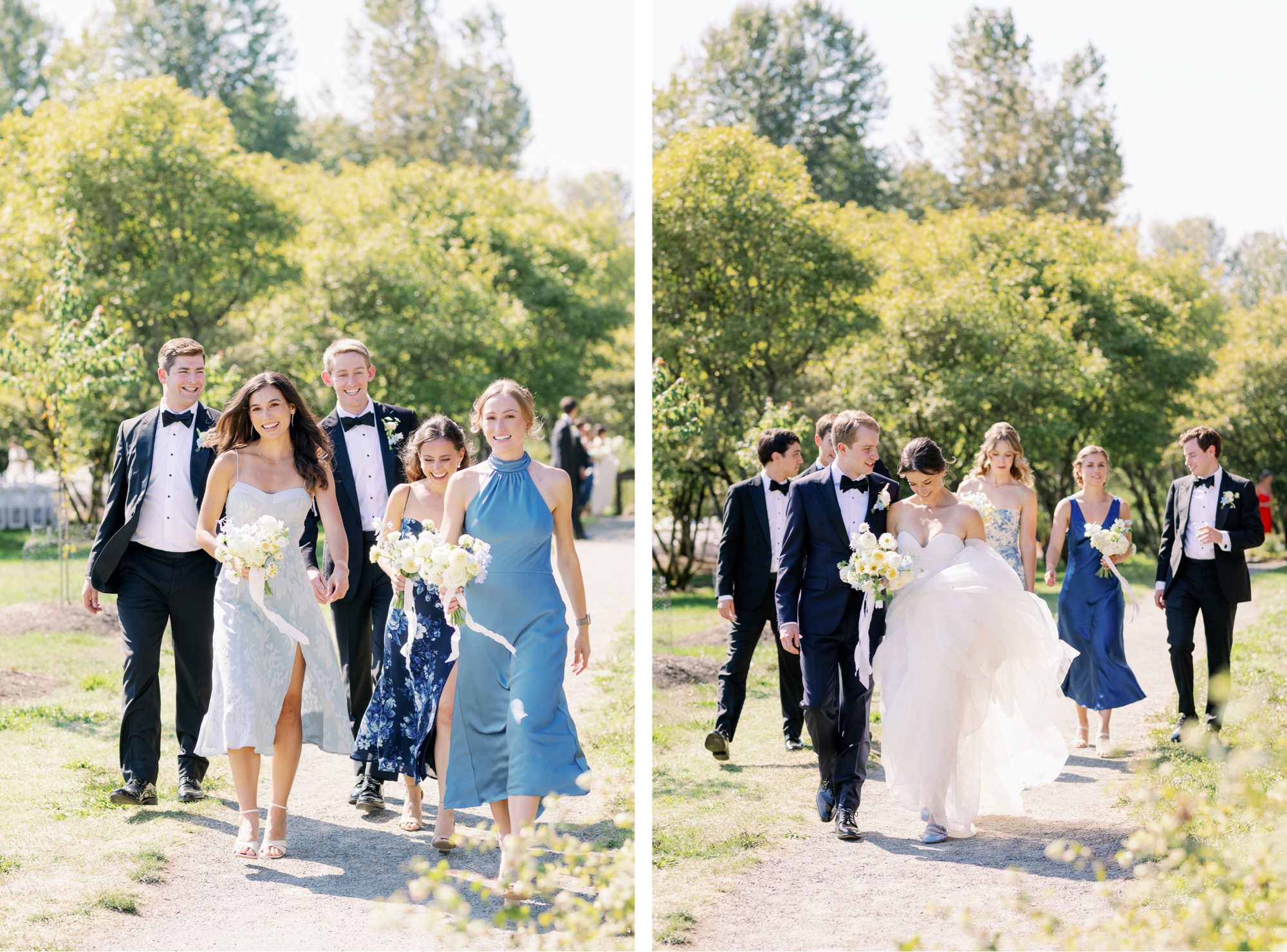 The wedding party walks along a path near the grove.